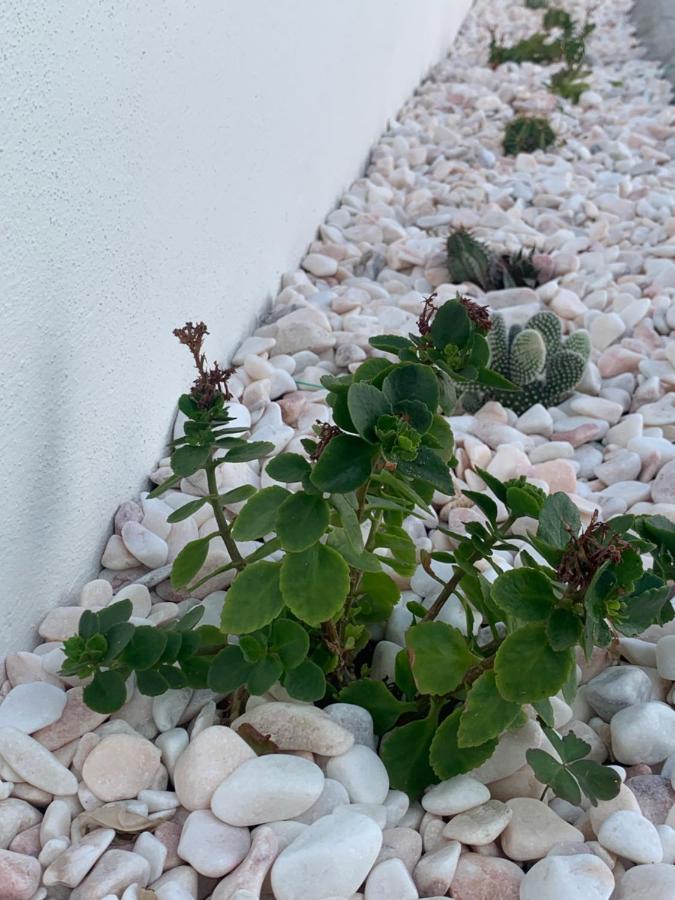 Torreira Vacation Homes - Sea House Eksteriør bilde